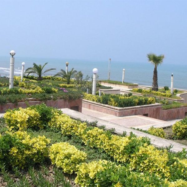 Gallery image 4