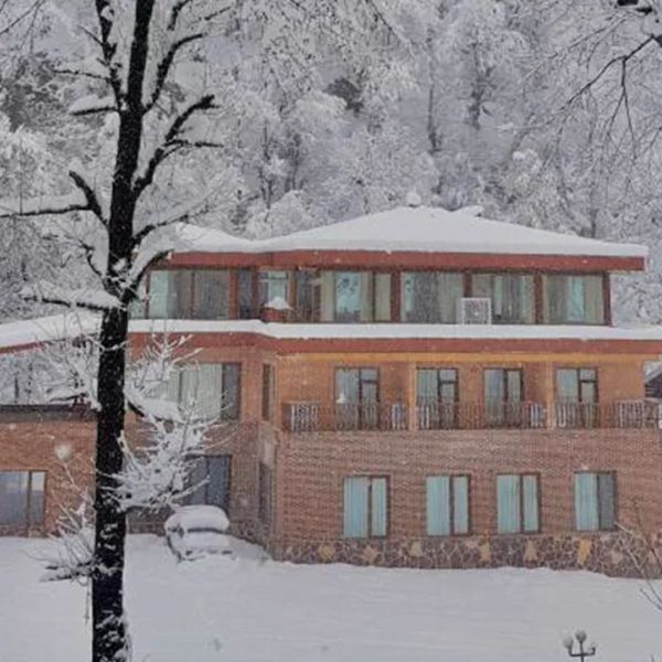 Gallery image 2