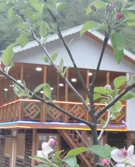 Gallery image 2