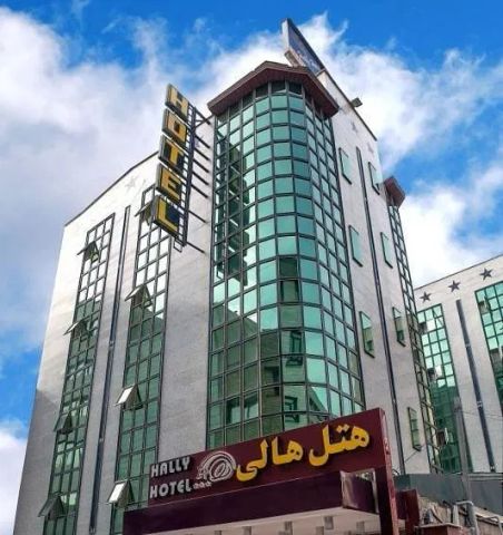 هالی