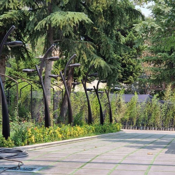 Gallery image 2